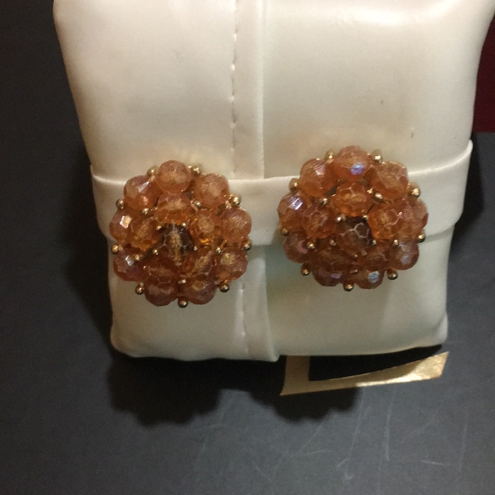 Beautiful earring